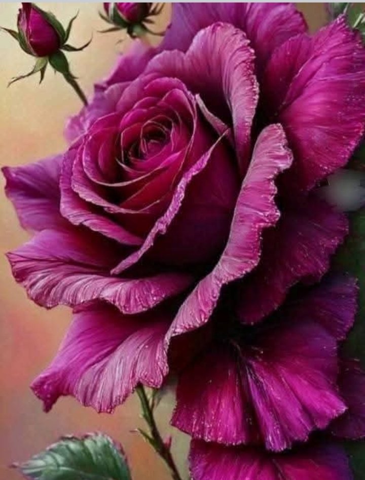 🇩🇴mamiRD_ #LoveDeMami❤ AmigosDe❤ (@mamird_) on Twitter photo 🌺#CamilaTeApoya
<a href="/teamdinamicas/">Cami</a>
<a href="/Jemaco40/">@Jemaco40</a>
<a href="/swydersk/">Deb #TmPetaL🌹#Resist💙 #NeverTrump Enjoy the ride</a>
<a href="/miarianmoreno/">MIRIAN_RD🇩🇴 #LoveDMami ❤AmigosD❤</a>
<a href="/millo_moni/">MoniMILLO</a>
<a href="/Jamesspencer211/">James Spencer #GAINWITHPETAL #TMPETAL #Teamspirit</a>
<a href="/Alana__25/">@Alana</a>
<a href="/WaynesGirl3/">Wayne's Girl</a>
<a href="/swydersk/">Deb #TmPetaL🌹#Resist💙 #NeverTrump Enjoy the ride</a>
<a href="/Spencerjames211/">Spencer James #GAINWITHPETAL #TMPETAL #Teamspirit</a>
<a href="/ranasilvia63/">Luna OM</a>
<a href="/oscarforgioni/">Hector Oscar Spikerman</a>
<a href="/tatysolcito/">💖 Tati Solcito 💖⭐⭐⭐</a>
<a href="/Luna_Om90/">Luna</a>
<a href="/mamiRD_/">🇩🇴mamiRD_ #LoveDeMami❤ AmigosDe❤</a>
<a href="/Alana__28/">#AmigosD❤ #LoveDmami</a>
<a href="/insaurraldeh/">⭐POLI⭐ #MGWV⭐</a>
<a href="/yelarvel/">*♋️Hecate♋️💞🌻🌷🌹💞</a> 🌺#CamilaTeApoya
<a href="/teamdinamicas/">Cami</a>
<a href="/Jemaco40/">@Jemaco40</a>
<a href="/swydersk/">Deb #TmPetaL🌹#Resist💙 #NeverTrump Enjoy the ride</a>
<a href="/miarianmoreno/">MIRIAN_RD🇩🇴 #LoveDMami ❤AmigosD❤</a>
<a href="/millo_moni/">MoniMILLO</a>
<a href="/Jamesspencer211/">James Spencer #GAINWITHPETAL #TMPETAL #Teamspirit</a>
<a href="/Alana__25/">@Alana</a>
<a href="/WaynesGirl3/">Wayne's Girl</a>
<a href="/swydersk/">Deb #TmPetaL🌹#Resist💙 #NeverTrump Enjoy the ride</a>
<a href="/Spencerjames211/">Spencer James #GAINWITHPETAL #TMPETAL #Teamspirit</a>
<a href="/ranasilvia63/">Luna OM</a>
<a href="/oscarforgioni/">Hector Oscar Spikerman</a>
<a href="/tatysolcito/">💖 Tati Solcito 💖⭐⭐⭐</a>
<a href="/Luna_Om90/">Luna</a>
<a href="/mamiRD_/">🇩🇴mamiRD_ #LoveDeMami❤ AmigosDe❤</a>
<a href="/Alana__28/">#AmigosD❤ #LoveDmami</a>
<a href="/insaurraldeh/">⭐POLI⭐ #MGWV⭐</a>
<a href="/yelarvel/">*♋️Hecate♋️💞🌻🌷🌹💞</a>
