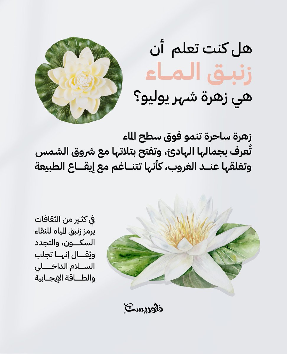 فلوريست © FLORIST tweet media