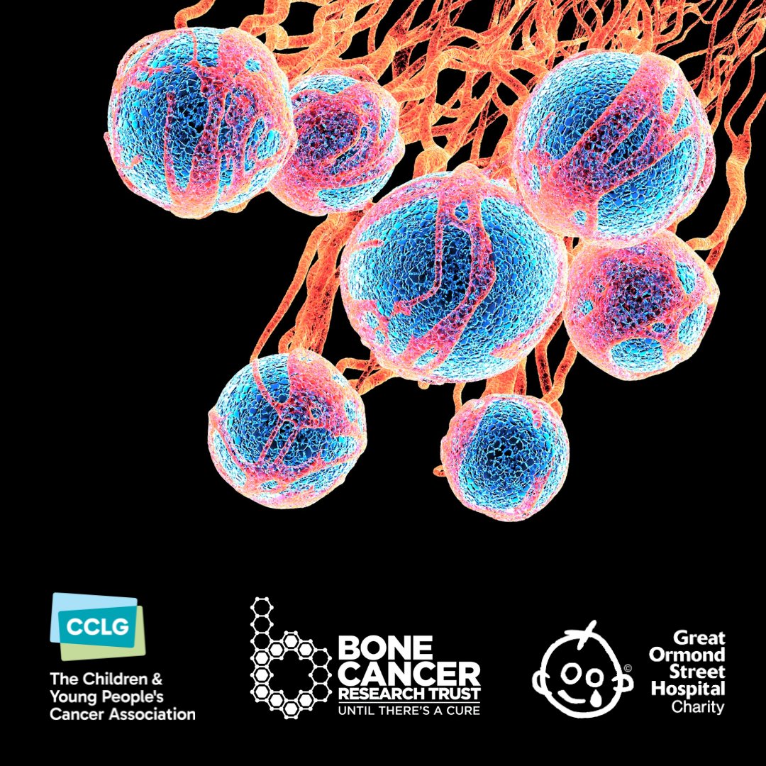 cclguk's tweet image. Exciting news! We’ve helped invest £800,000 into vital #EwingSarcoma #research, funding 4 new projects with @BCRT, the Ewing’s Sarcoma Research Trust Legacy & @GOSHCharity. Working together brings us closer to better treatments & answers 🎗️
More info at bit.ly/4kqXOxS