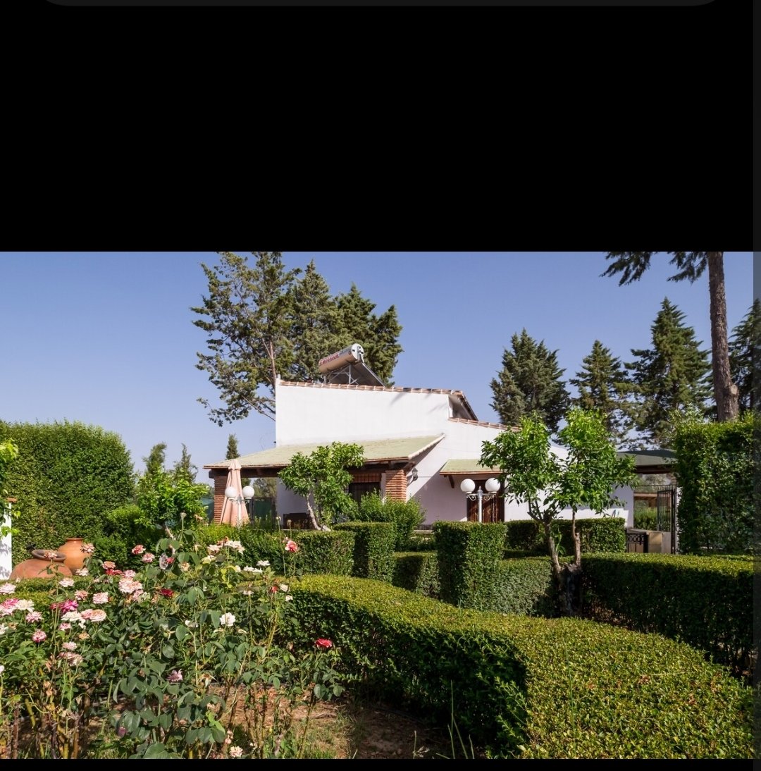 RFC | AbelSame tweet media