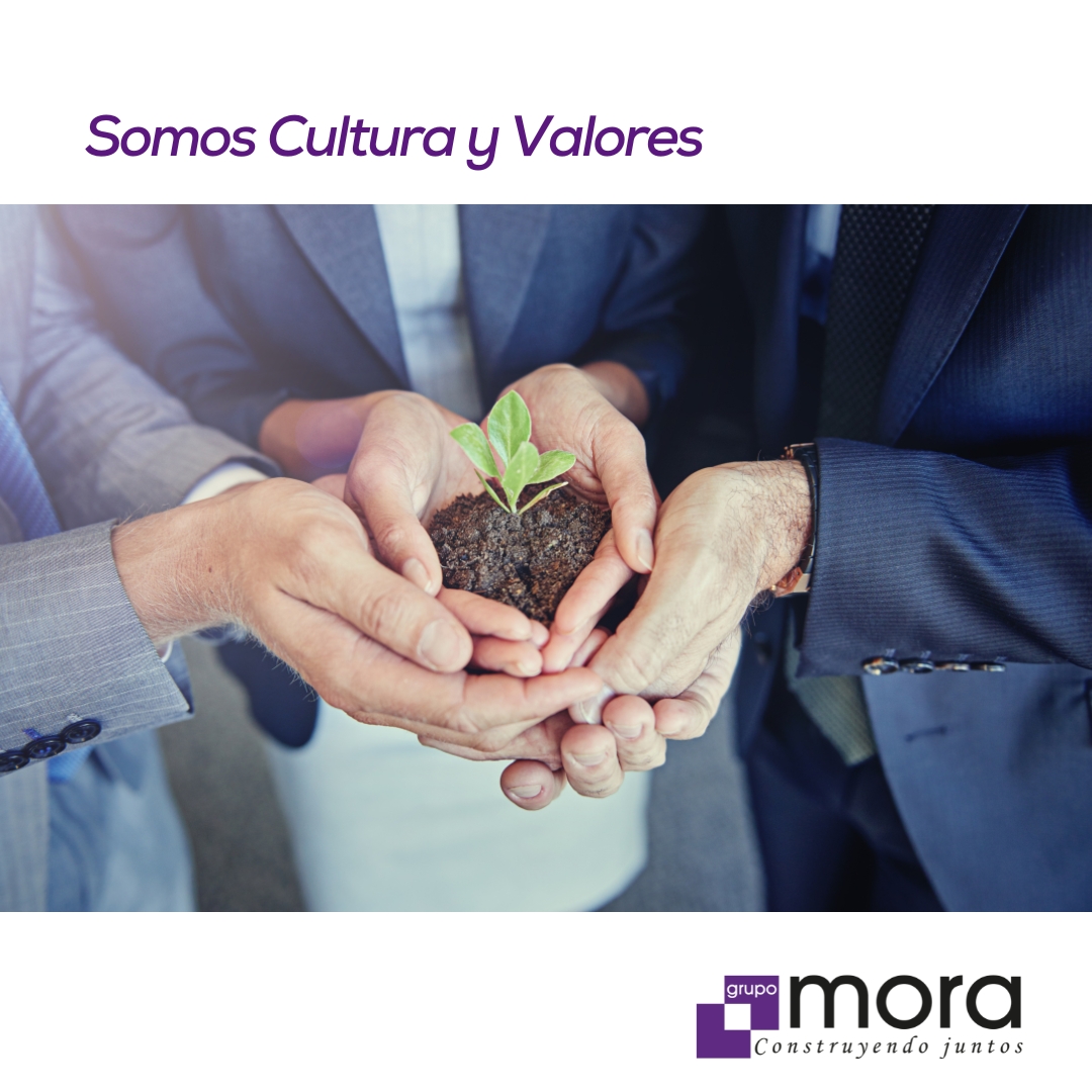 Grupo Mora tweet media