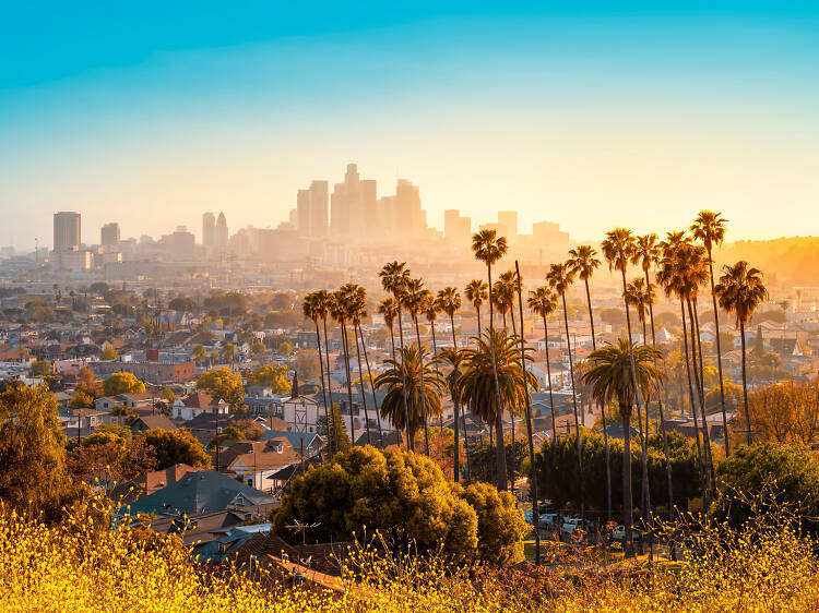 CountyofLA's tweet photo. The heat is on for LA County this week. Check out the Chief Sustainability Office’s recently released Heat Action Planning Engagement Toolkit, which supports cities and community  groups as they prepare for increasing heatwaves in their neighborhoods.
https://t.co/yyI7t19qys https://t.co/2irQSJtEz8