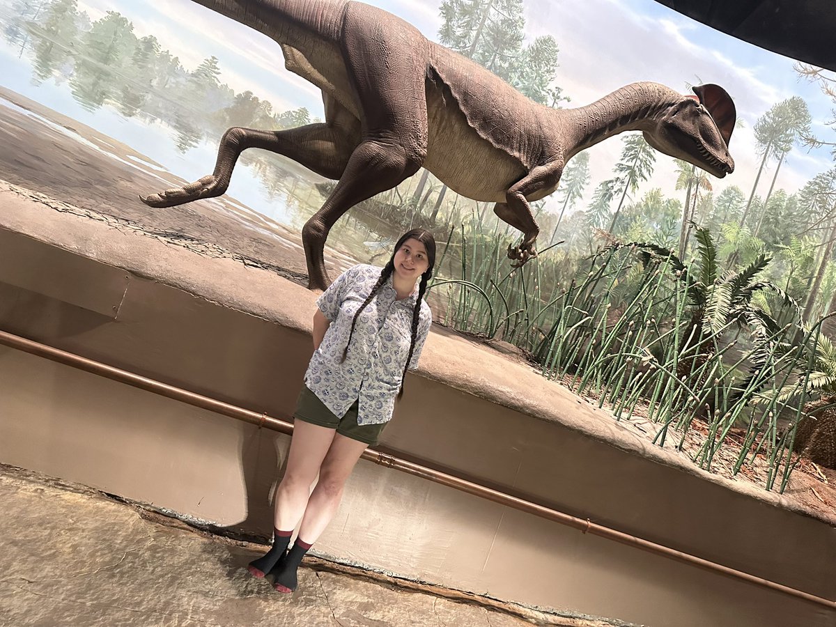 Podokesaurus Project tweet media