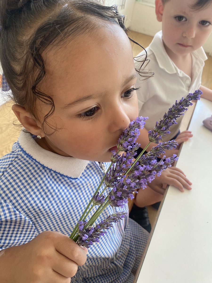 High Cross Primary School tweet media