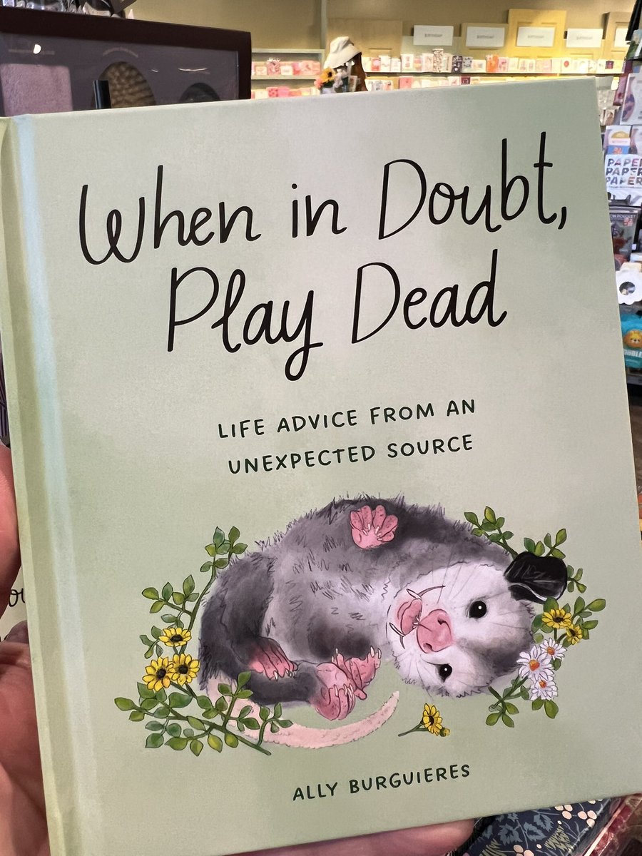 mariesutro's tweet image. Why didn’t anyone ever tell me? (Wow, I’ve been making this life thing far too complicated.) 😜

#opossum #lifehack #relax #relaxing