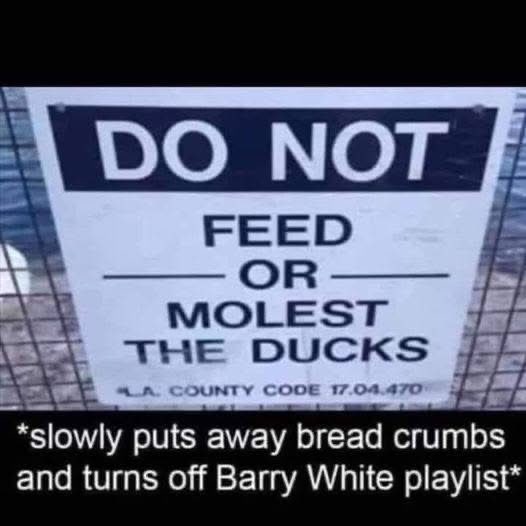 Hmmm
Someone quacking up???
Oh don’t get your feathers ruffled 

It’s just a fowl joke 🤭😉