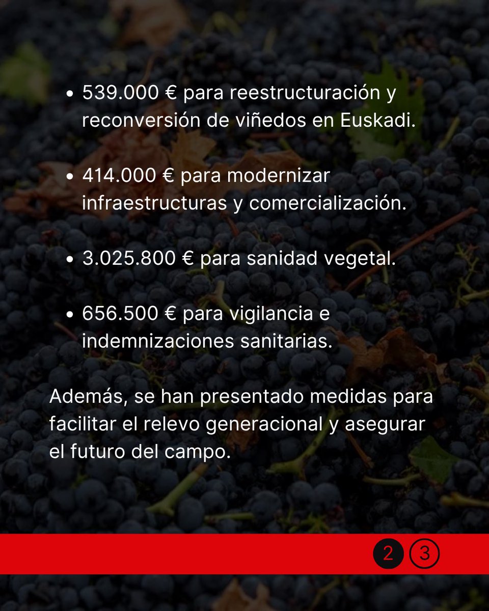 🍷🍇 Buenas noticias para #RiojaAlavesa:

La Conferencia Sectorial de Agricultura ha aprobado más de 4,6 millones de euros para impulsar el sector vitivinícola en #Euskadi, con Rioja Alavesa como epicentro.

📌 Más información: mapa.gob.es/es/prensa/ulti…