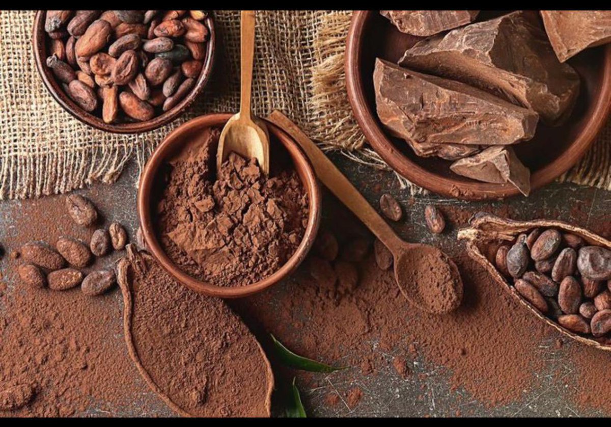 jorgegavino's tweet image. Hoy celebramos el Día Mundial del Cacao y el Chocolate, homenajeando el fruto que es originario de Mesoamérica. Detrás de cada tableta hay historia, cultura y trabajo de quienes cultivan el cacao. 🍫🌱