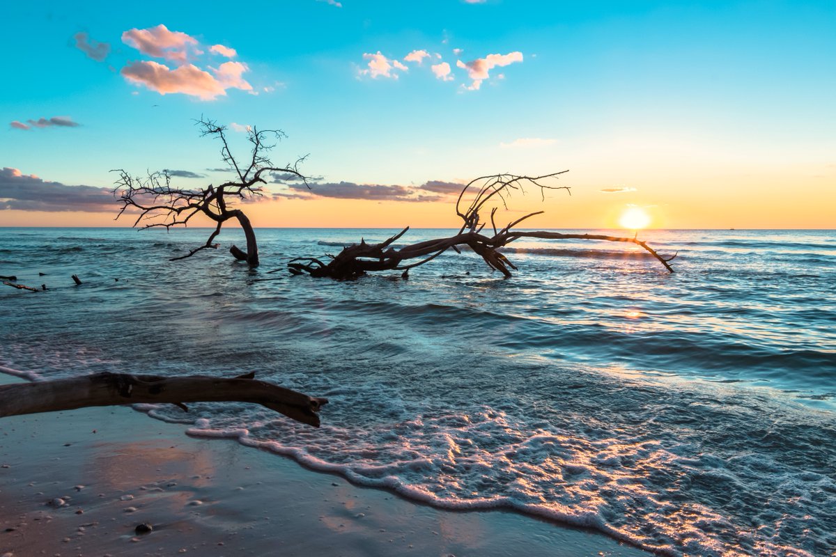 FLStateParks's tweet image. 🔆 Summertime has arrived!🔆
Can't wait to visit? Check out one of our recently awarded Top 10 beaches for 2025: Delnor-Wiggins Pass State Park and St. Andrews State Park.
These, like all 175 Florida State Parks and trails, offer experiences and amenities for the whole…