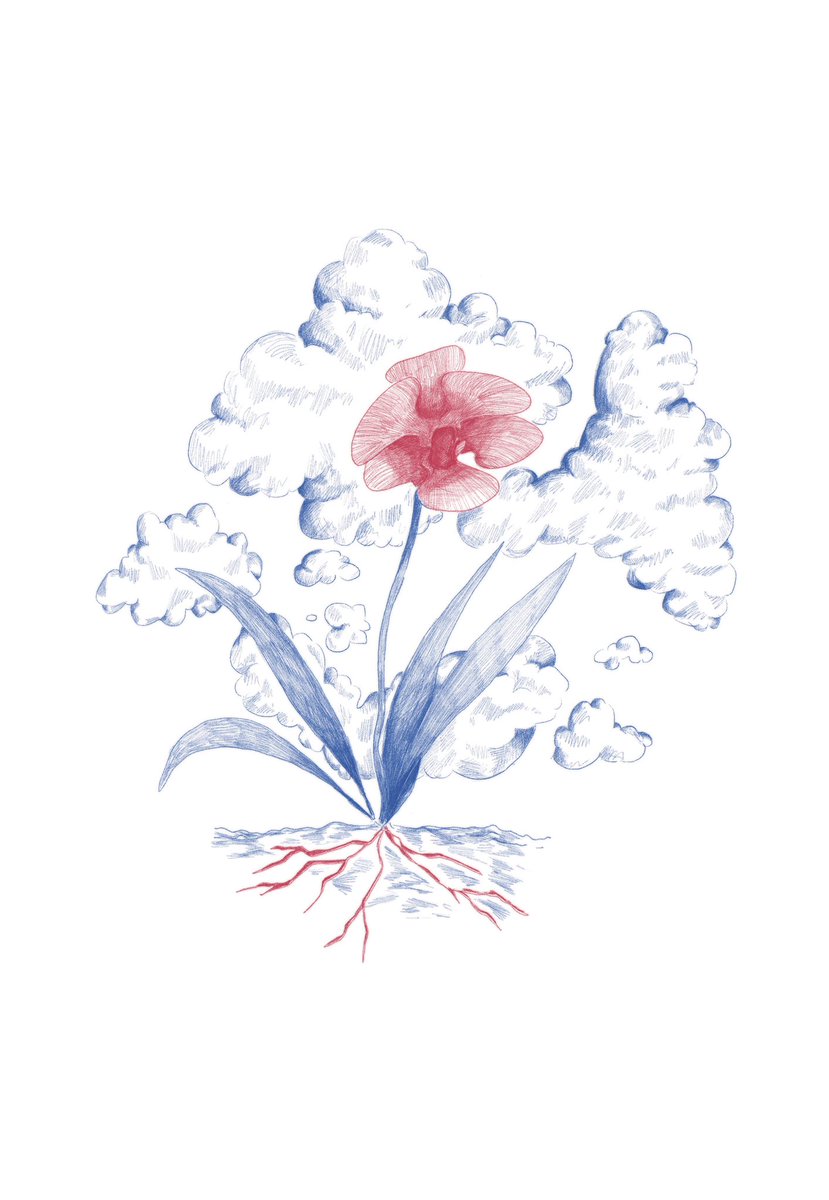 beadraws29's tweet photo. Illustrations for a poetry book I designed for a client! https://t.co/Rh82ROeECi