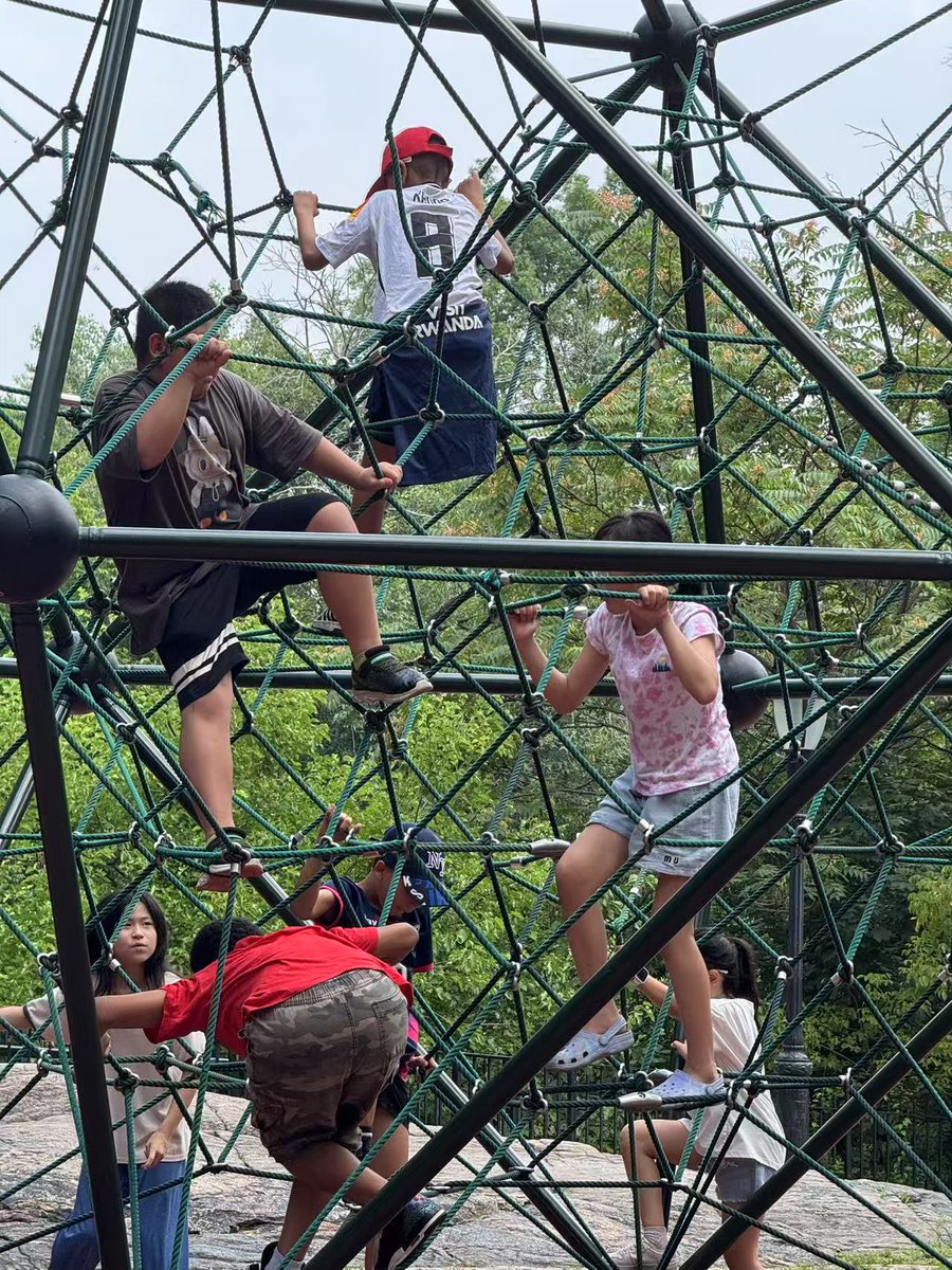 pcra_nyc's tweet image. 🦁🐒 On Day 3 of our adventure, the kids explored the Bronx Zoo — spotting animals, learning new facts, and swinging in nearby playgrounds for some extra fun! 🌳🐘
#pcranyc #nonprofit #nonprofitorganization #bronxzoo #animals #summer #summertrip
