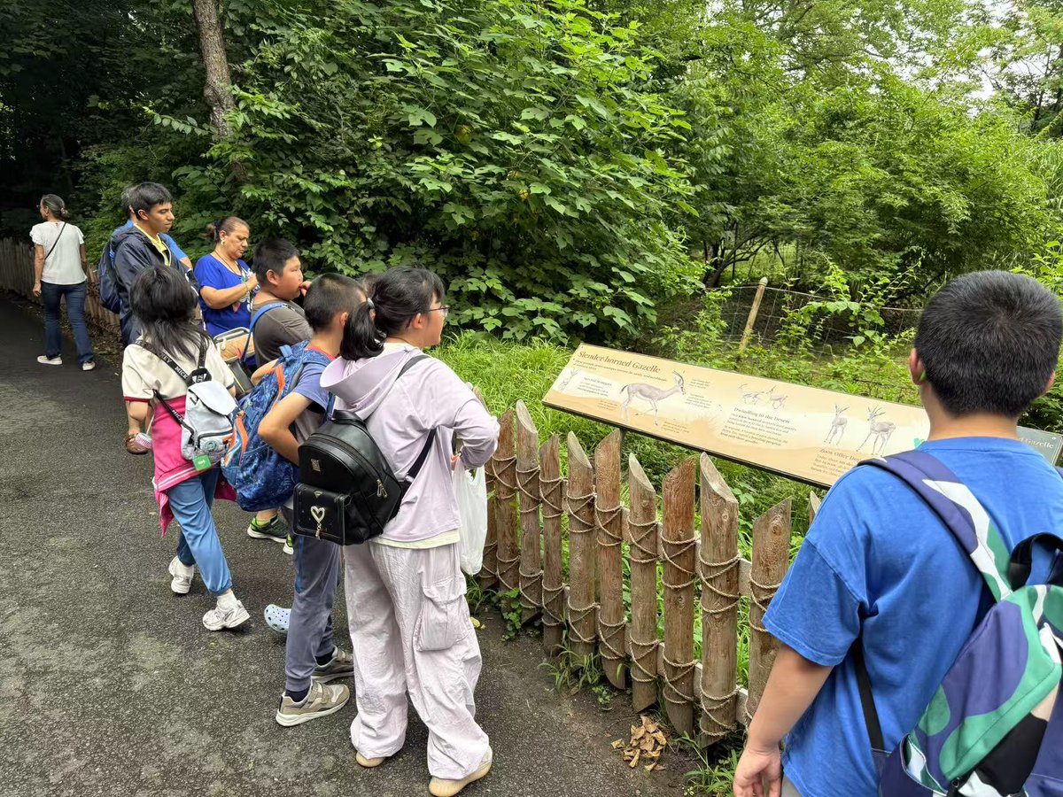 pcra_nyc's tweet image. 🦁🐒 On Day 3 of our adventure, the kids explored the Bronx Zoo — spotting animals, learning new facts, and swinging in nearby playgrounds for some extra fun! 🌳🐘
#pcranyc #nonprofit #nonprofitorganization #bronxzoo #animals #summer #summertrip
