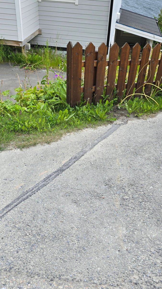 Mika Korpimo tweet media