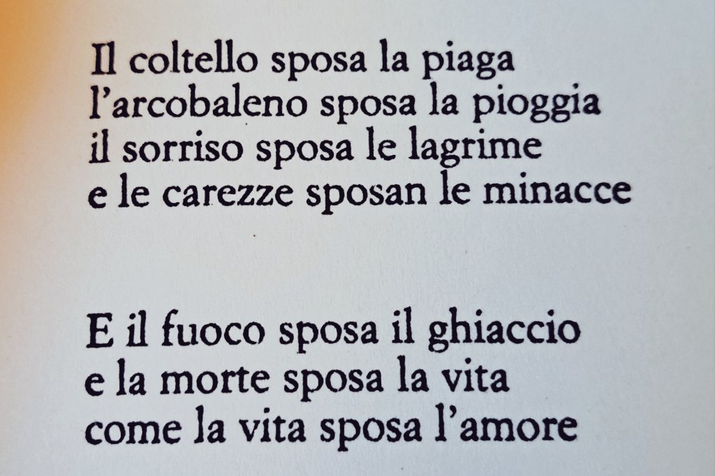 silviabar12's tweet photo. ...Così è
#Prevert
Sera https://t.co/kkZAZWMBTD