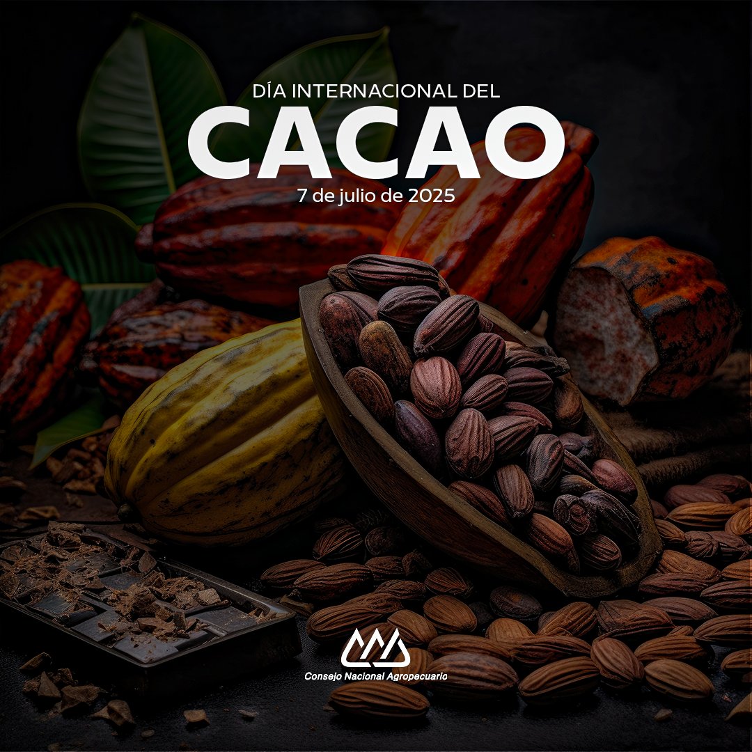 CNAgropecuario's tweet photo. 🌱🍫 Sabe a historia, huele a tradición y se cultiva con el corazón…
 
Hoy celebramos el #DíaMundialDelCacao, fruto ancestral que nace en tierras mexicanas y endulza al mundo entero.
 
En el #CNA seguiremos trabajando por quienes cultivan y protegen este tesoro nacional. 🇲🇽 
 
#HechoEnMéxico #CampoMexicano