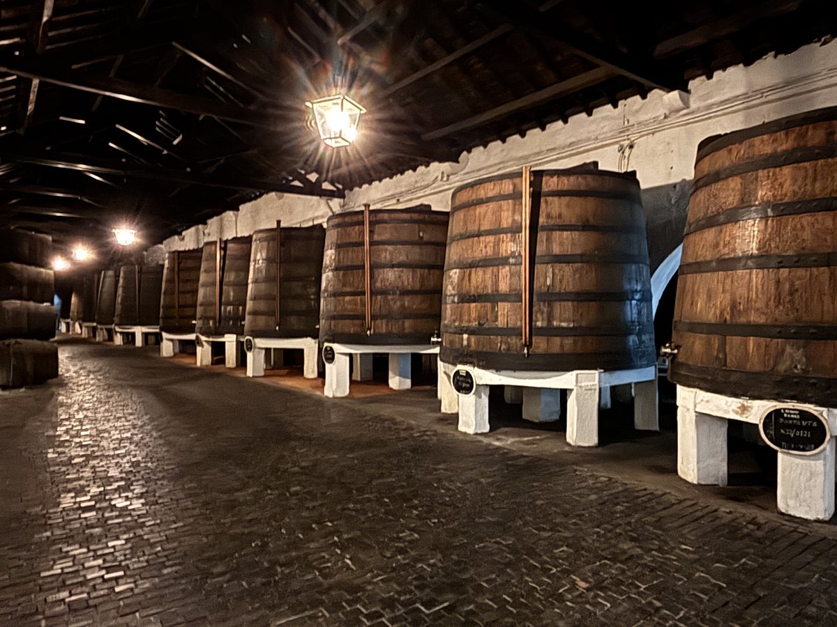 StuartRender's tweet image. 'A Taste of River Cruising'
Day 7 on the Douro.
A cruise back to Porto to visit the Ferreira Port Wine Cellar in Gaia on the opposite bank to Porto. This evening, the Chef's Signature Dinner. A very enjoyable week with spectacular weather and scenery.
@RivieraTravelUK 
@AGTOUK