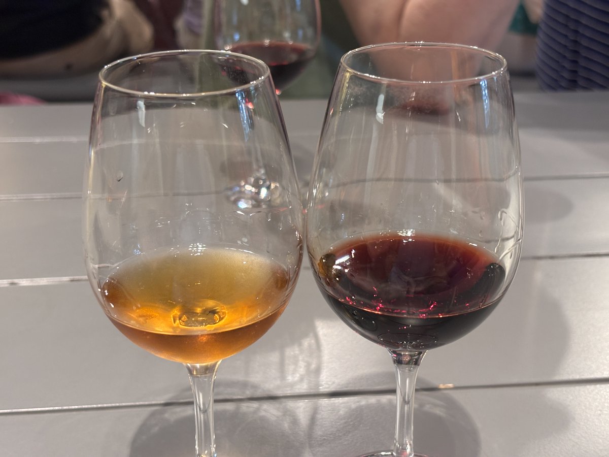 StuartRender's tweet image. 'A Taste of River Cruising'
Day 7 on the Douro.
A cruise back to Porto to visit the Ferreira Port Wine Cellar in Gaia on the opposite bank to Porto. This evening, the Chef's Signature Dinner. A very enjoyable week with spectacular weather and scenery.
@RivieraTravelUK 
@AGTOUK