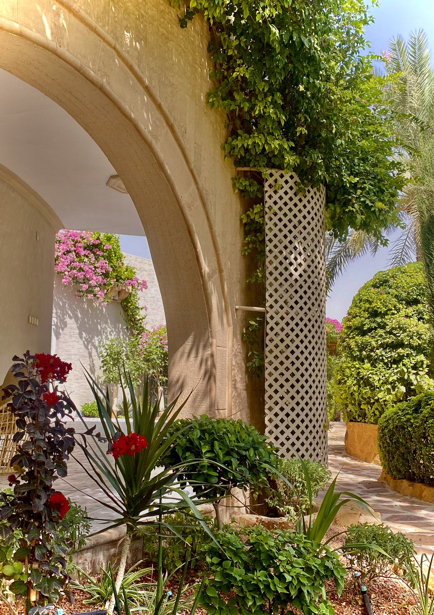 الحديقة 🌱🌺🌸