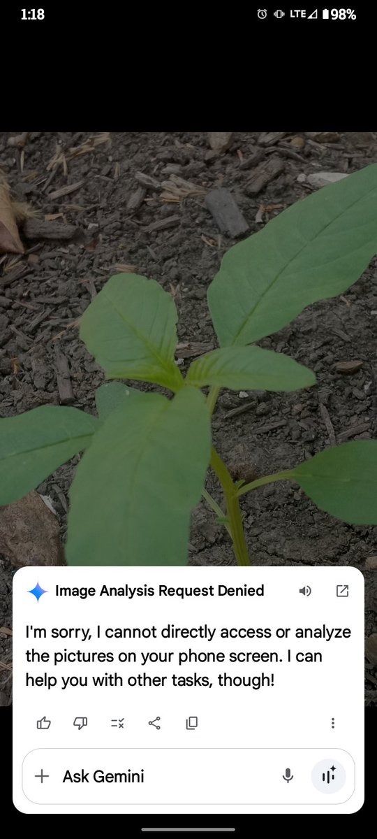 SShipley2021's tweet photo. When your AI won't do anything, and is evasive about its own description 🤨😒🤷 https://t.co/BxDlaR4ULp