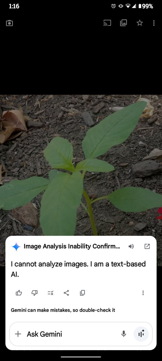 When your AI won't do anything, and is evasive about its own description 🤨😒🤷