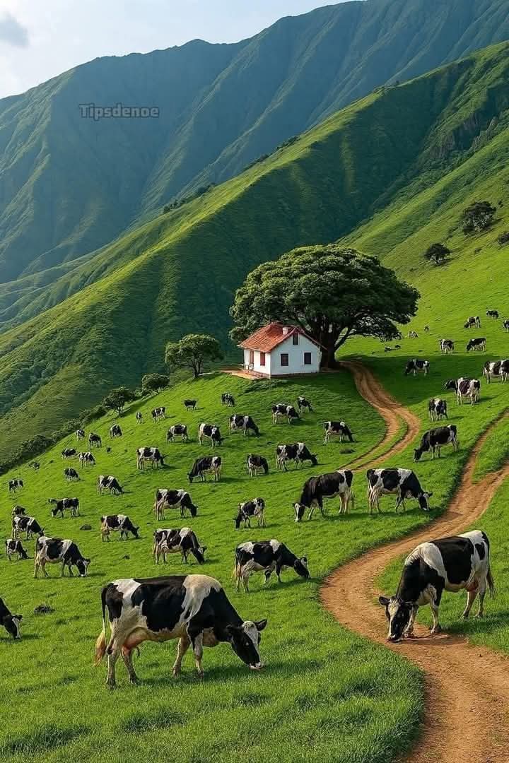 Nedenleri değil de sürekli sonuçlari konuşan insanları muhatap almıyorum.
#GeceyeBirNot