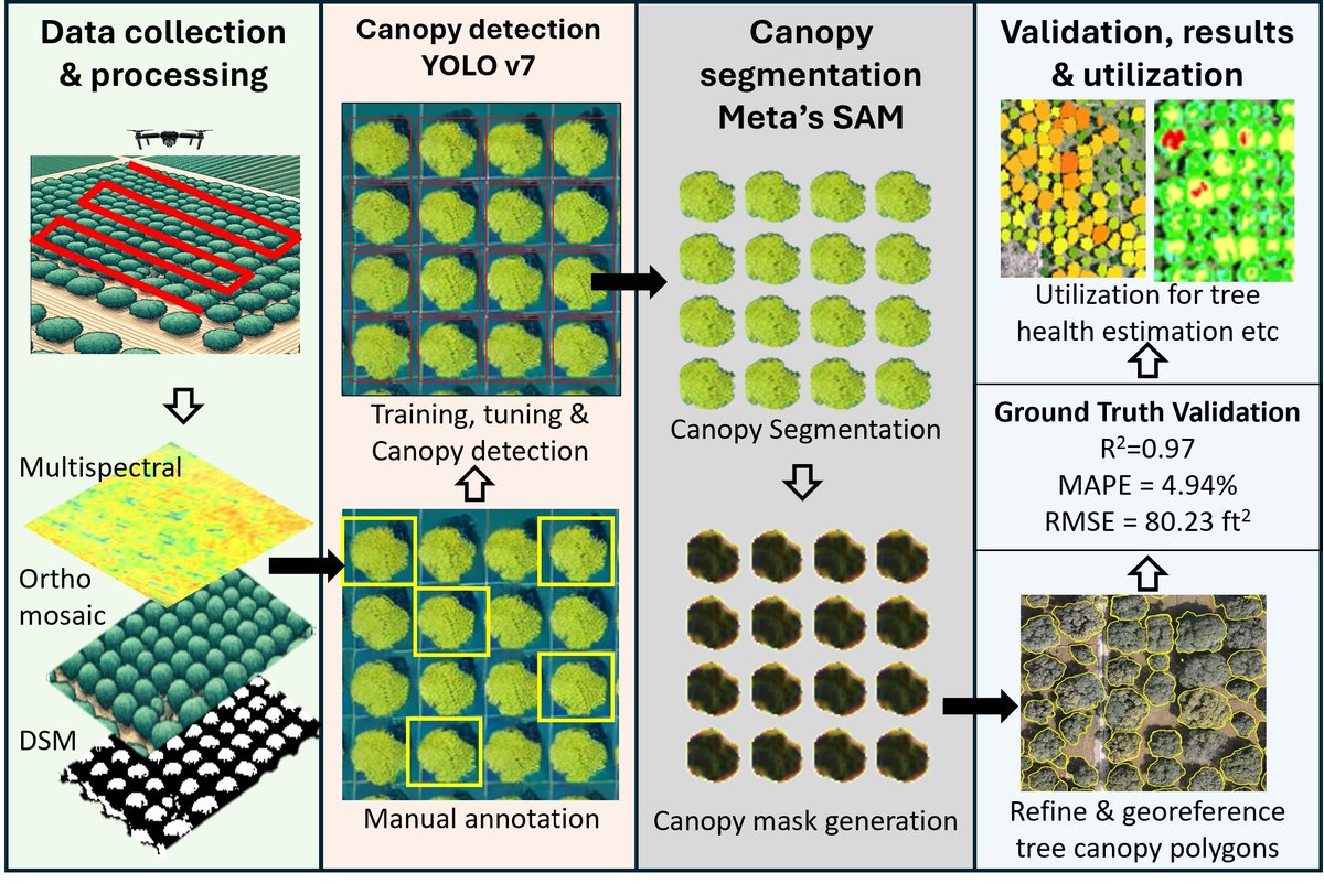 RemoteSens_MDPI's tweet image. 🥭🥭 High-Precision #Mango #Orchard Mapping Using a Deep Learning Pipeline Leveraging #ObjectDetection and #Segmentation
✍️ Muhammad Munir Afsar et al.
🔗 brnw.ch/21wTXSV