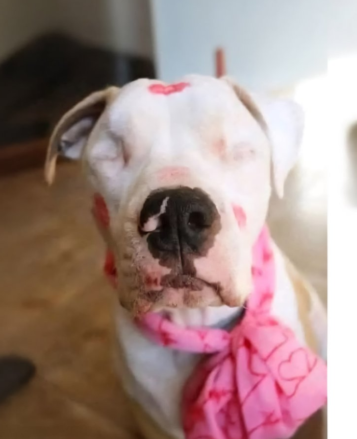 People look at me funny 🙁 but my mom says I am beautiful but am I really 😳💖