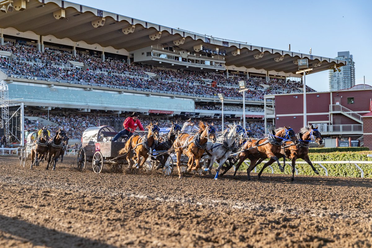 CSchuckwagons's tweet photo. 🏁 Take a look back at Night 3 of the Rangeland Derby presented by Play Alberta

Jamie Laboucane took home the Hottest Heat of the Night with a time of 1:13.79 and the Arrow Lakes Relay team out ran the rest with a time of 3:13.68! 

#CSChuckwagons #CSRelay #RangelandDerby https://t.co/mbRDNwo7F6