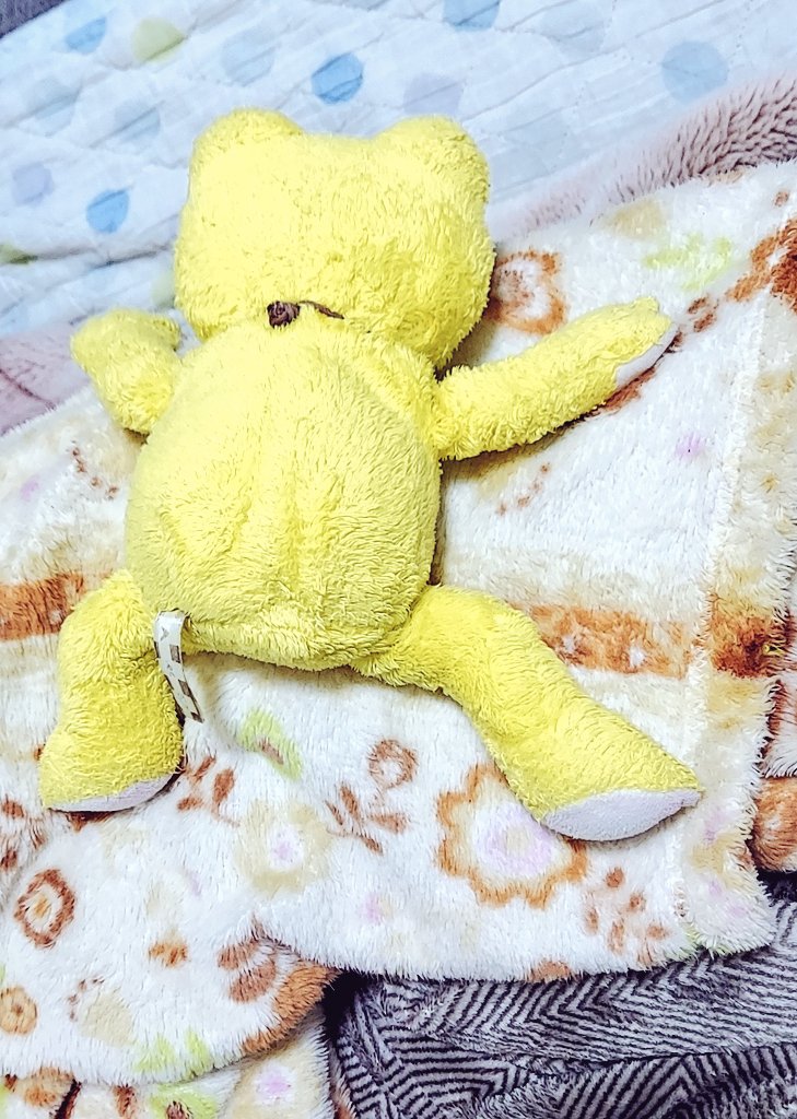 毎日毎日、一山のぼる。最後に何が見えるかな。

おやすみなさい、けろけろ☆