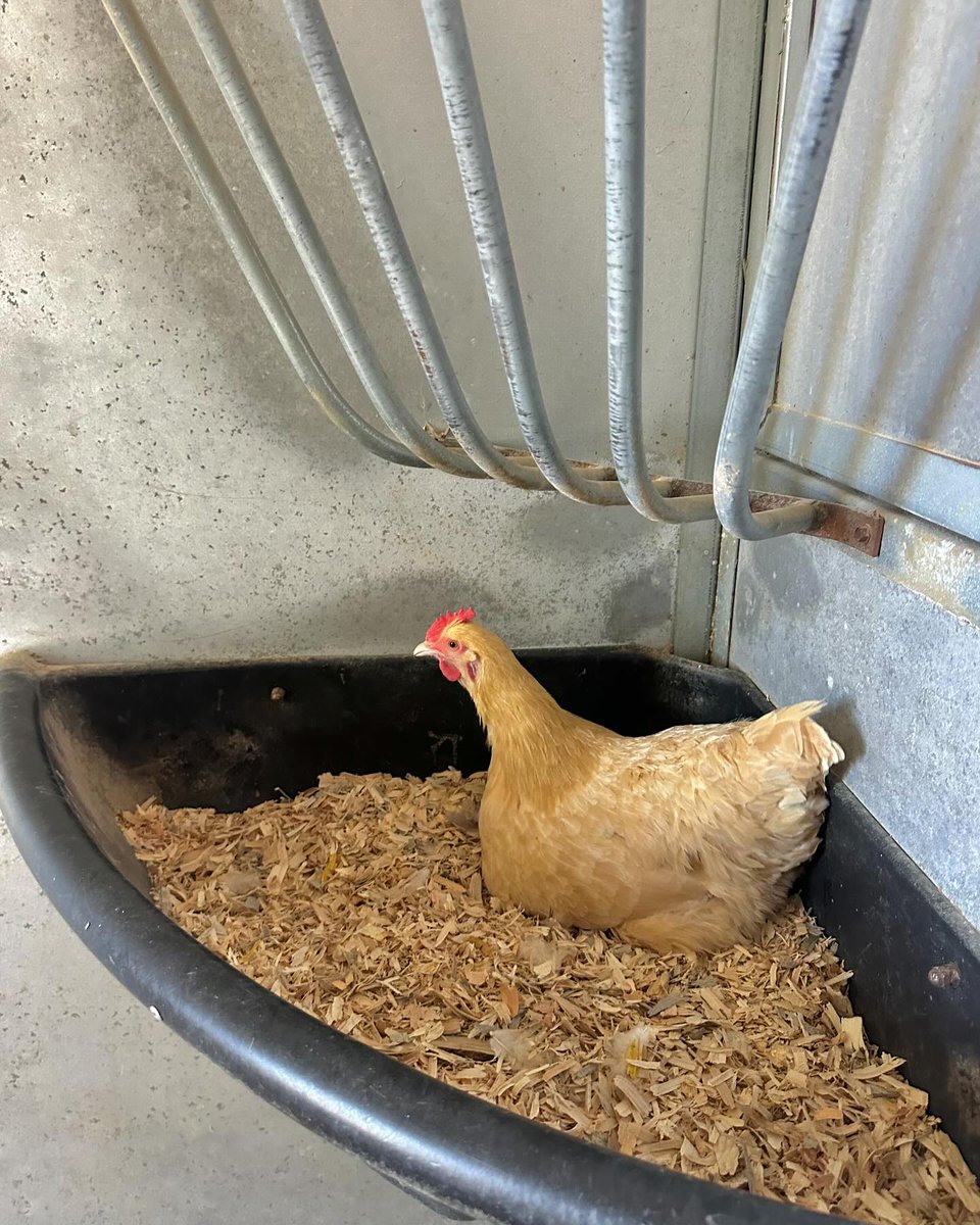 Jay Dangler (@jaydangler2m) on Twitter photo 