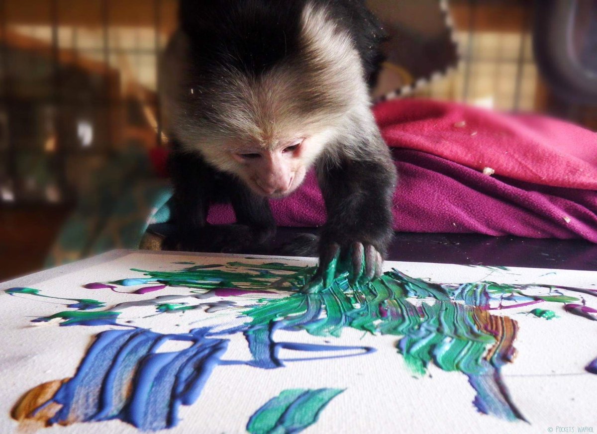 Art demands my full concentration🐵🎨#bekindtoanimals #AFTERLIFE #storybookmonkeys
