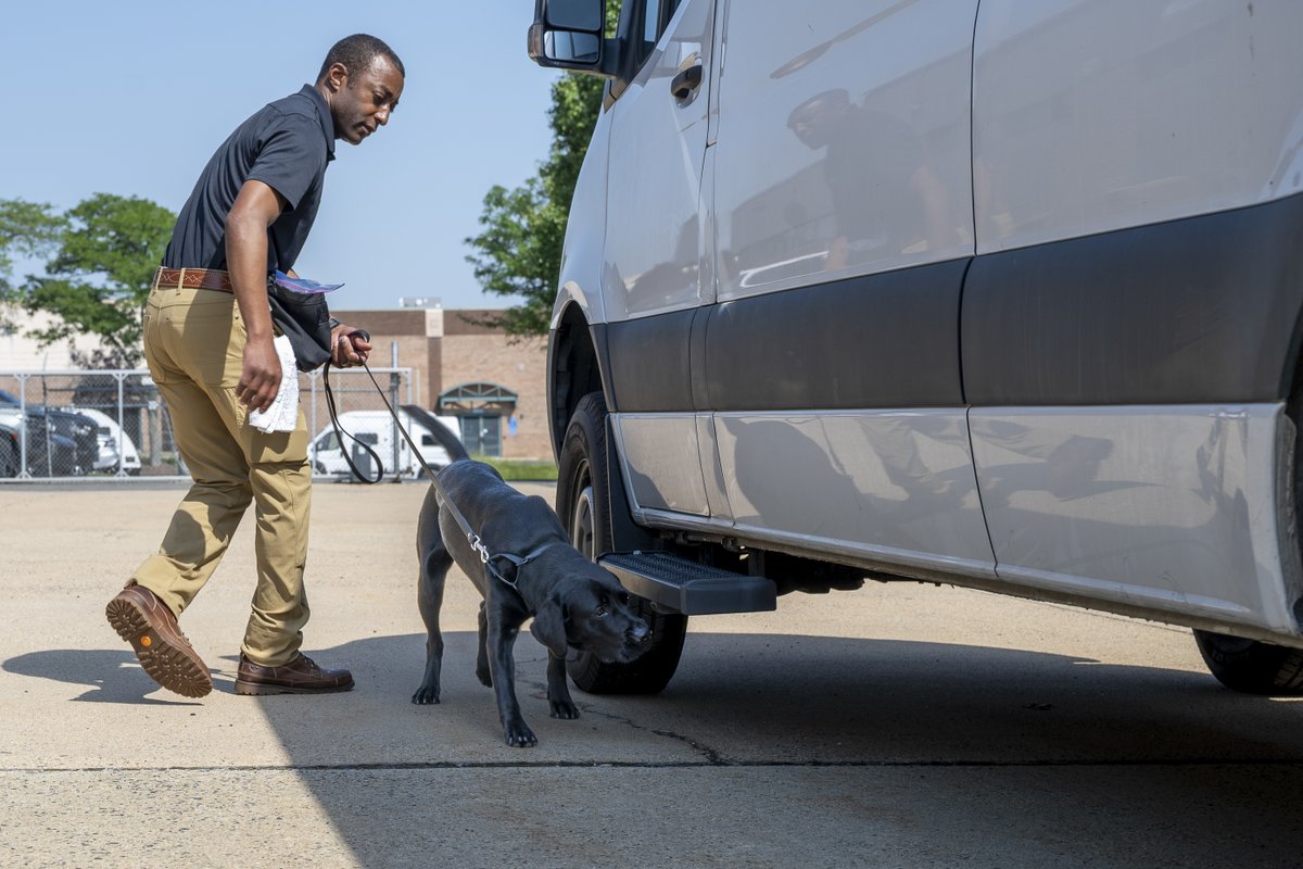 RealNCIS's tweet image. The #NCIS ESD K9 Program is growing fast. SA Lawhorn & K9 Jill, our 1st grads, now support train-the-trainer efforts. These elite dogs detect hidden electronics—reinforcing criminal, CI, cyber, & insider threat ops. #ESDK9 #MissionReady