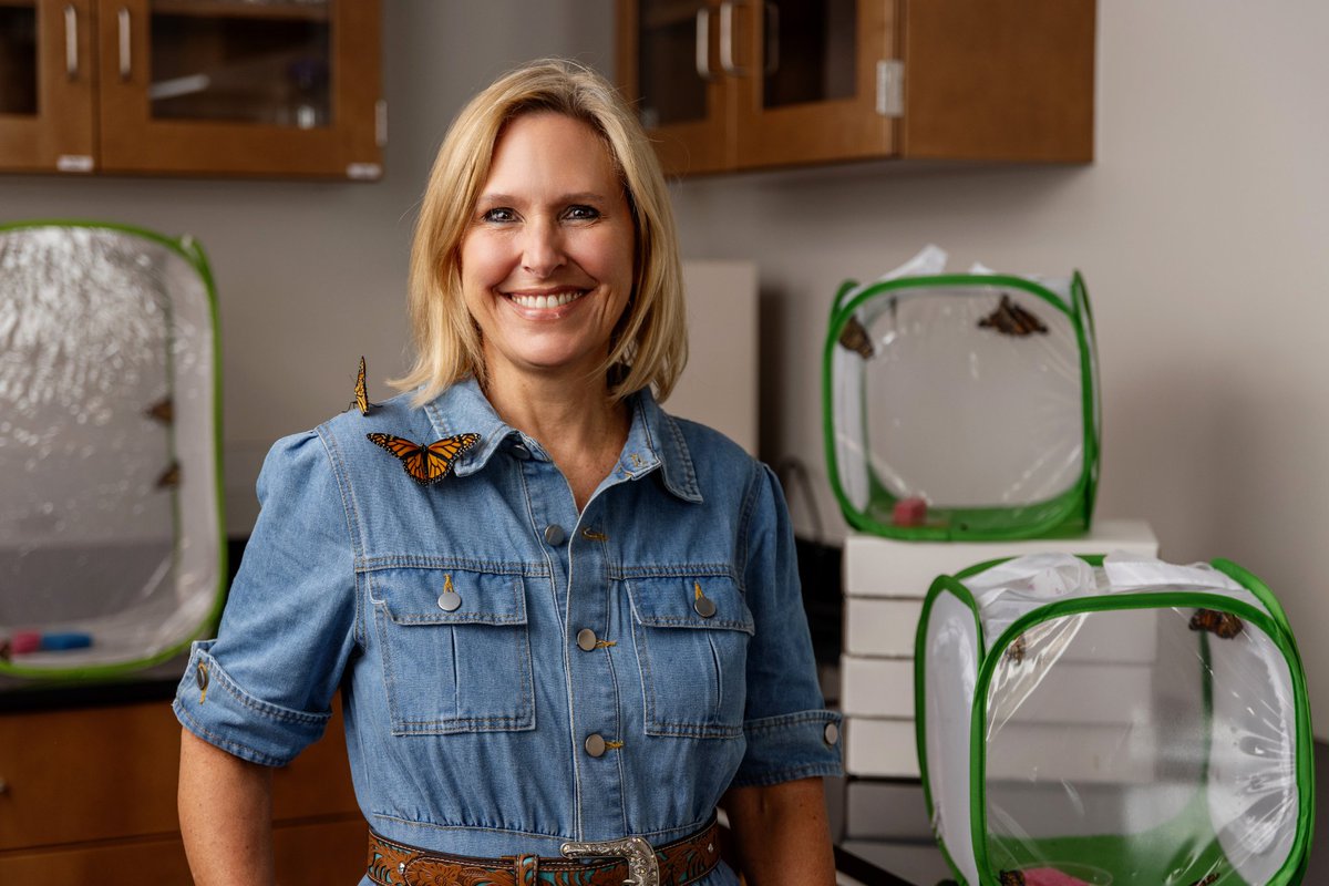 🦋 🐛 Renowned ecologist and science communicator Sonia Altizer has been named head of the UGA Department of Entomology, bringing a collaborative vision and decades of research and public outreach experience to the role. 🔗 bit.ly/44BF1Kj
