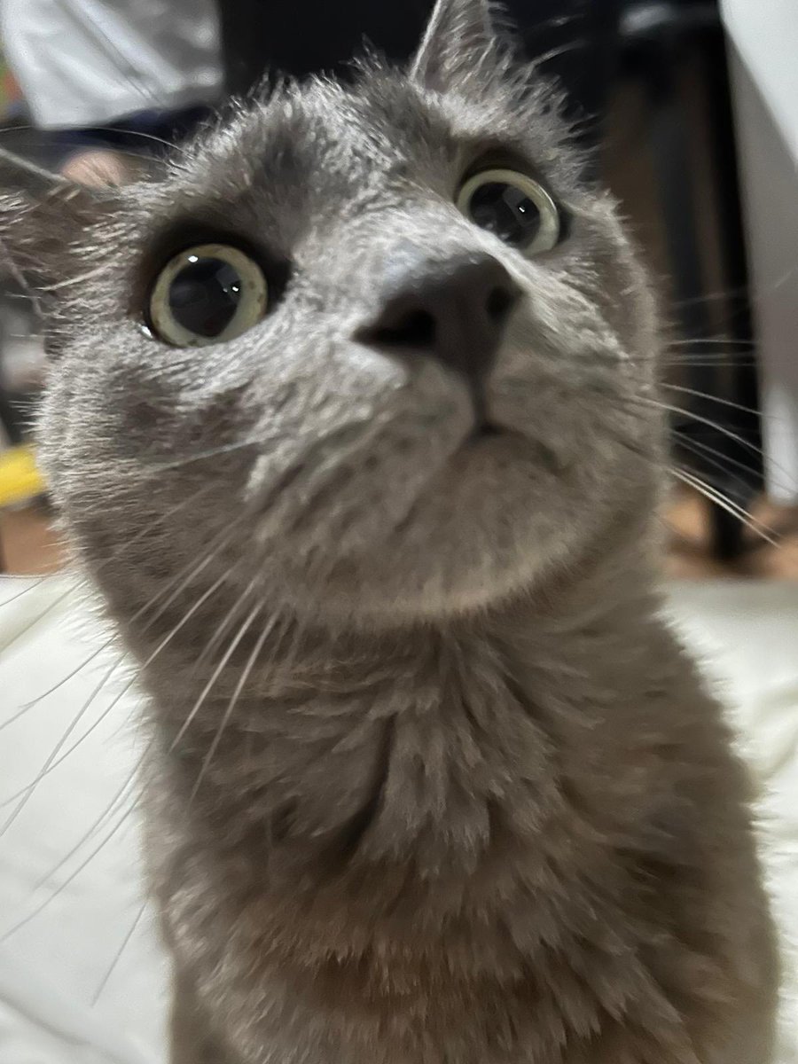 Kyr (@kyrtz3) on Twitter photo 