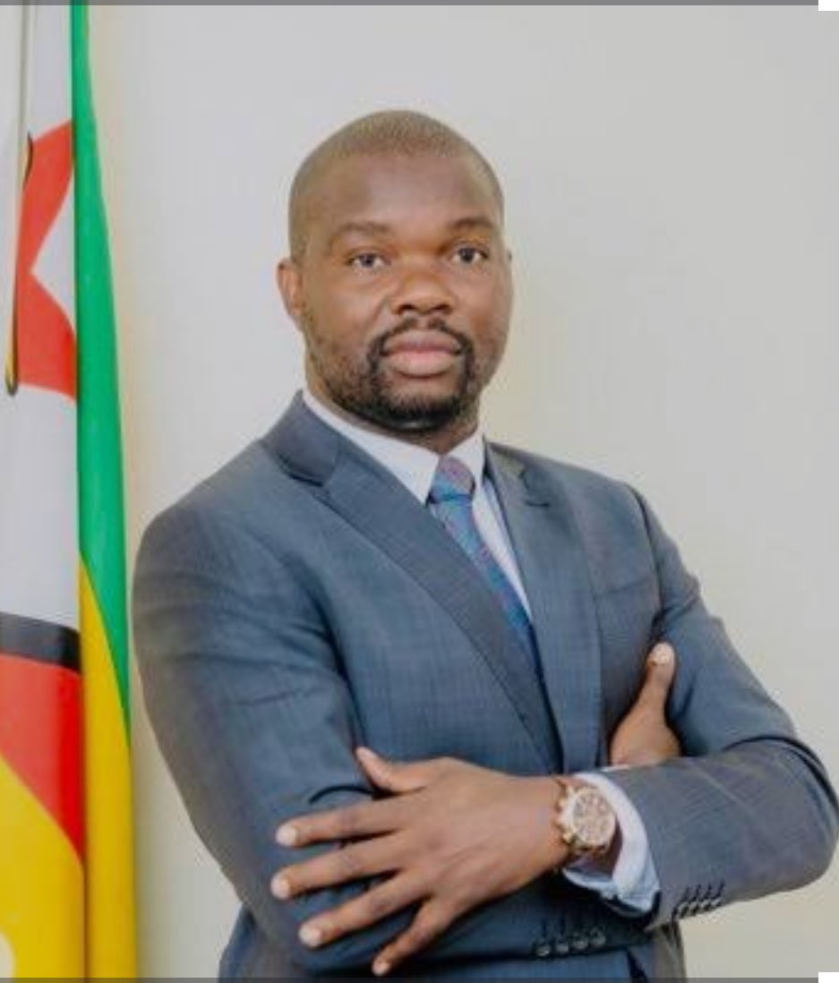 obeyshava1's tweet image. On 29 August 2024, Petina was ordered to pay @advocatemahere USD18k for defaming her. Some of the defamatory claims have been repeated with greater force by the Minister .If Petina stopped in Norton with her defamatory journey, the Minister took over & landed in Bulawayo.