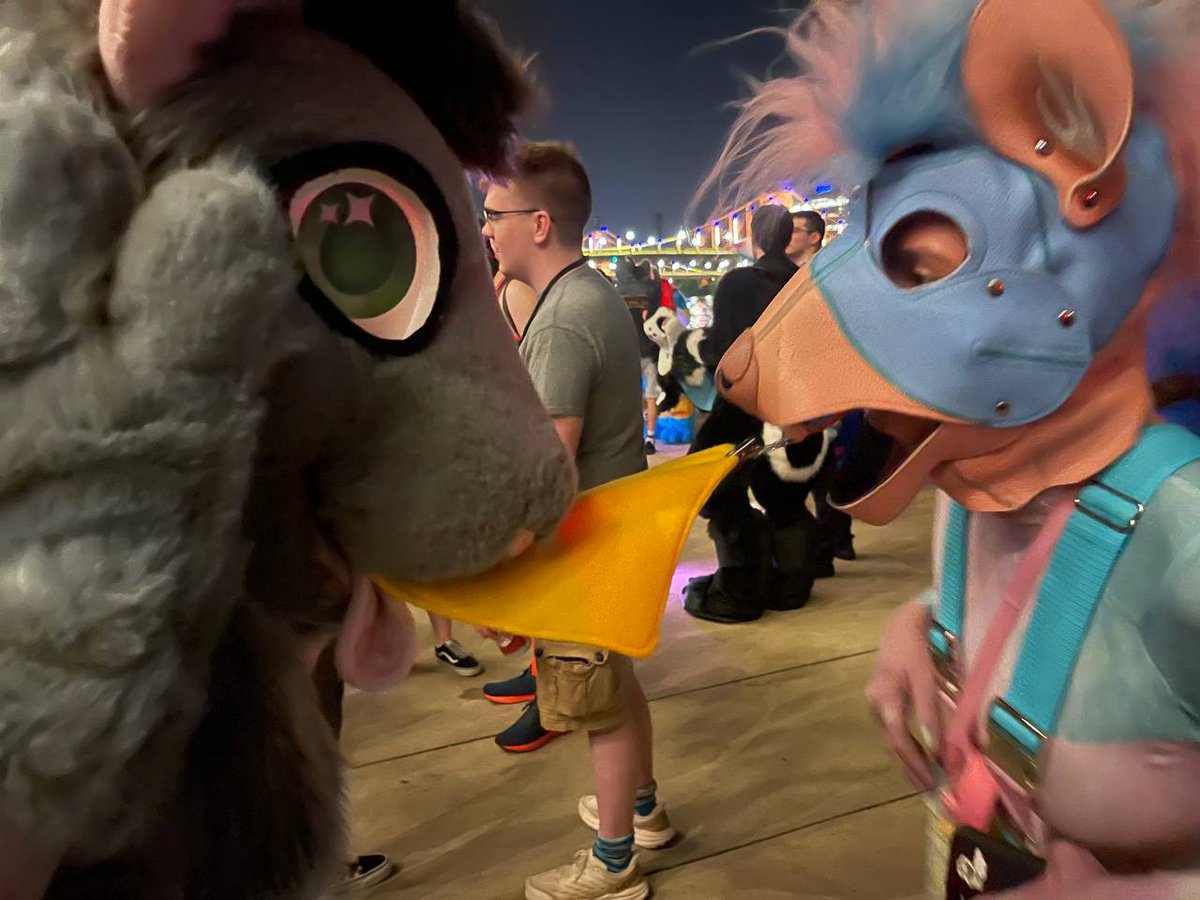 🧀 #Anthrocon #Rat