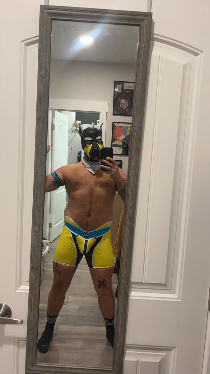 pup Bandit🔜Lostlands🦖🦕 tweet media