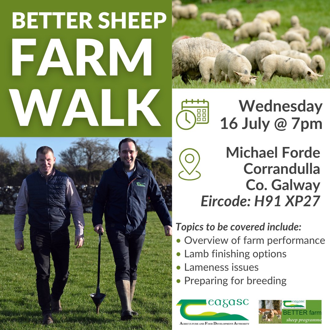 Teagasc (@teagasc) on Twitter photo Join us on Wednesday, 16 July at 7pm for a Lowland BETTER Sheep Farm Walk on the farm of Michael Forde, Annagh West, Corrandulla, Co. Galway. Topics to be discussed include an overview of farm performance.
Find out more bit.ly/44BUydb
<a href="/TeagascSheep/">TeagascSheep</a> <a href="/TeagascGC/">Teagasc Galway/Clare</a> Join us on Wednesday, 16 July at 7pm for a Lowland BETTER Sheep Farm Walk on the farm of Michael Forde, Annagh West, Corrandulla, Co. Galway. Topics to be discussed include an overview of farm performance.
Find out more bit.ly/44BUydb
<a href="/TeagascSheep/">TeagascSheep</a> <a href="/TeagascGC/">Teagasc Galway/Clare</a>