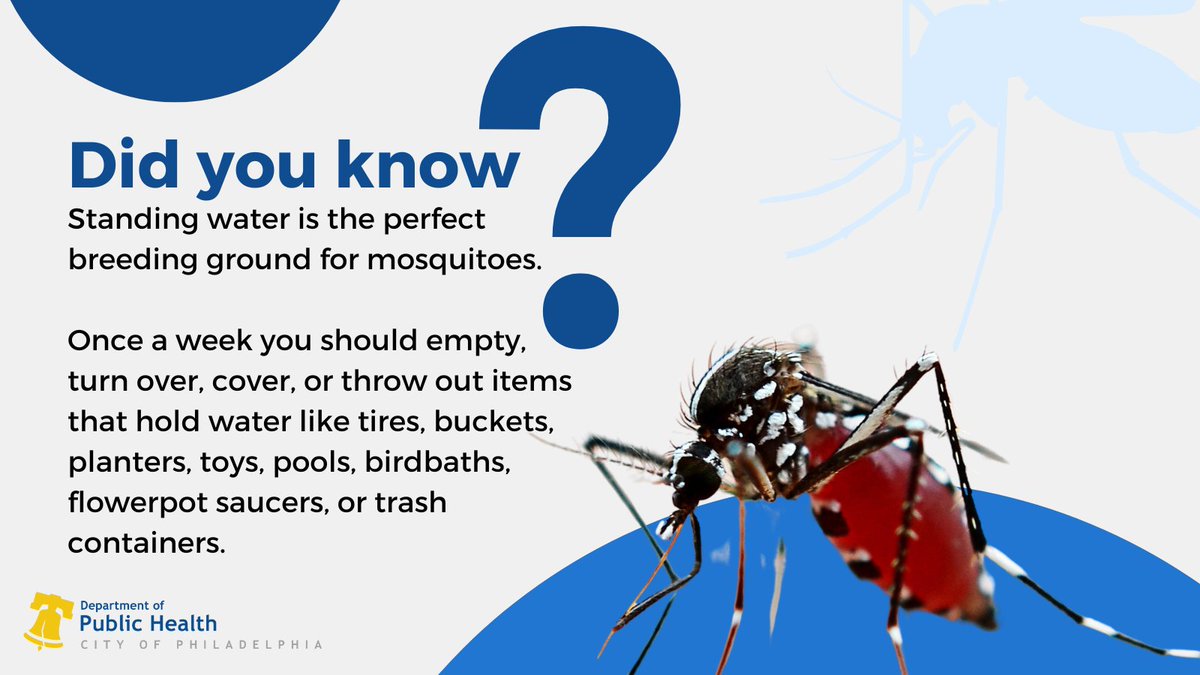 Mosquitos suck! Here's how you can protect yourself this summer. ow.ly/p4Ge50WfKv0