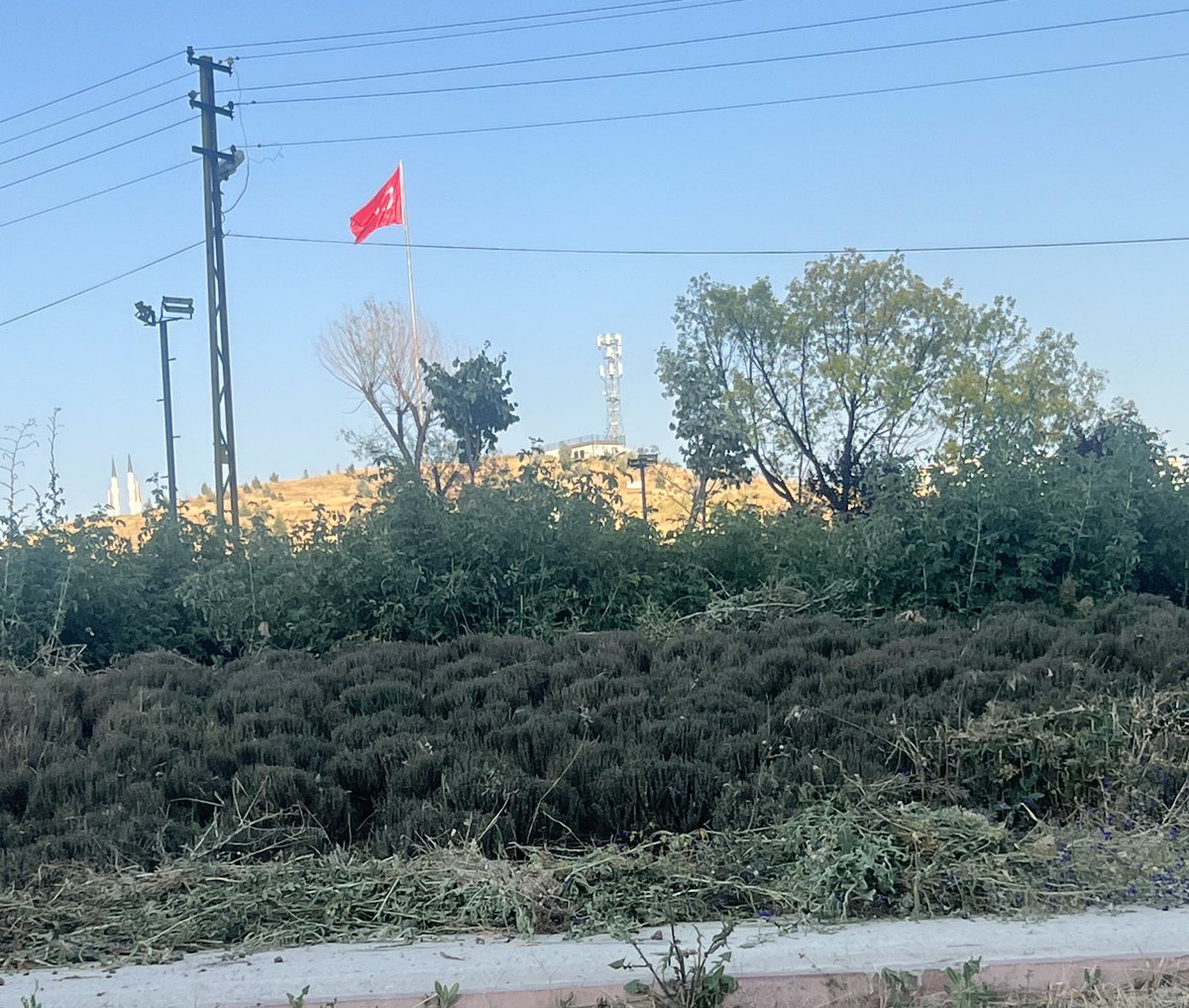 zafercoktan's tweet photo. Ovacıkta bulunan ve Keçiören’in marka tesislerinden biri olan güzelim Lavanta Bahçesi ne hale gelmiş !! … Keçiören ve Keçiörenliler bunu haketmiyor … Bir ilçenin Belediye Başkanı hiç olmasa , şehir ancak bu kadar kötü olabilirdi … @AkKeciorenResmi https://t.co/CQ8az9wtrR