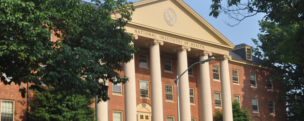 🚨 The proposed FY 2026 budget slashes NIH funding and threatens gynecologic cancer research. SGO is calling on all members to urge Congress to protect and fully fund gynecologic cancer research and care programs in FY 2026.

Take action now:
shorturl.at/GsUX0