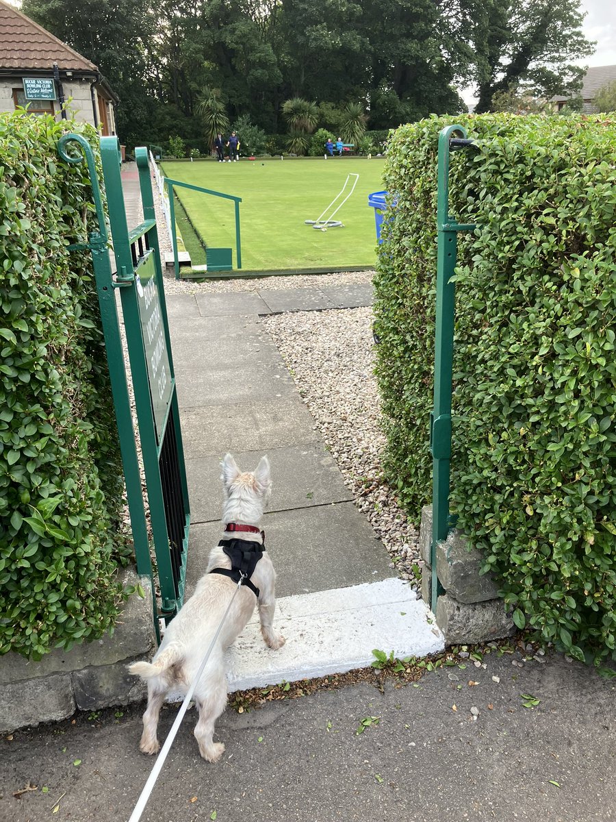 Ello can me play bowls too please