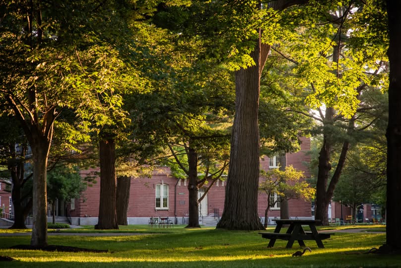 Parents and educators: if your student is a low-income and/or first-generation-to-college member of the Class of 2026, then Explore Bowdoin is for them. 

Thursday, July 17, 4 PM Pacific. bowdoin.edu/admissions/con…
