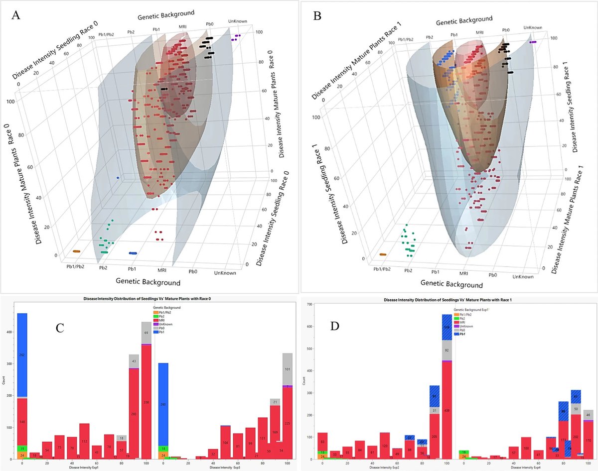 Predicting the resistance of basil entries to downy mildew based on their genetics, pathogen race, growth stage, and environmental conditions. 

Ben Naim, Y., Mattera, R., Cohen, Y. et al. Planta 262, 10 (2025).
➡️rdcu.be/evc3U