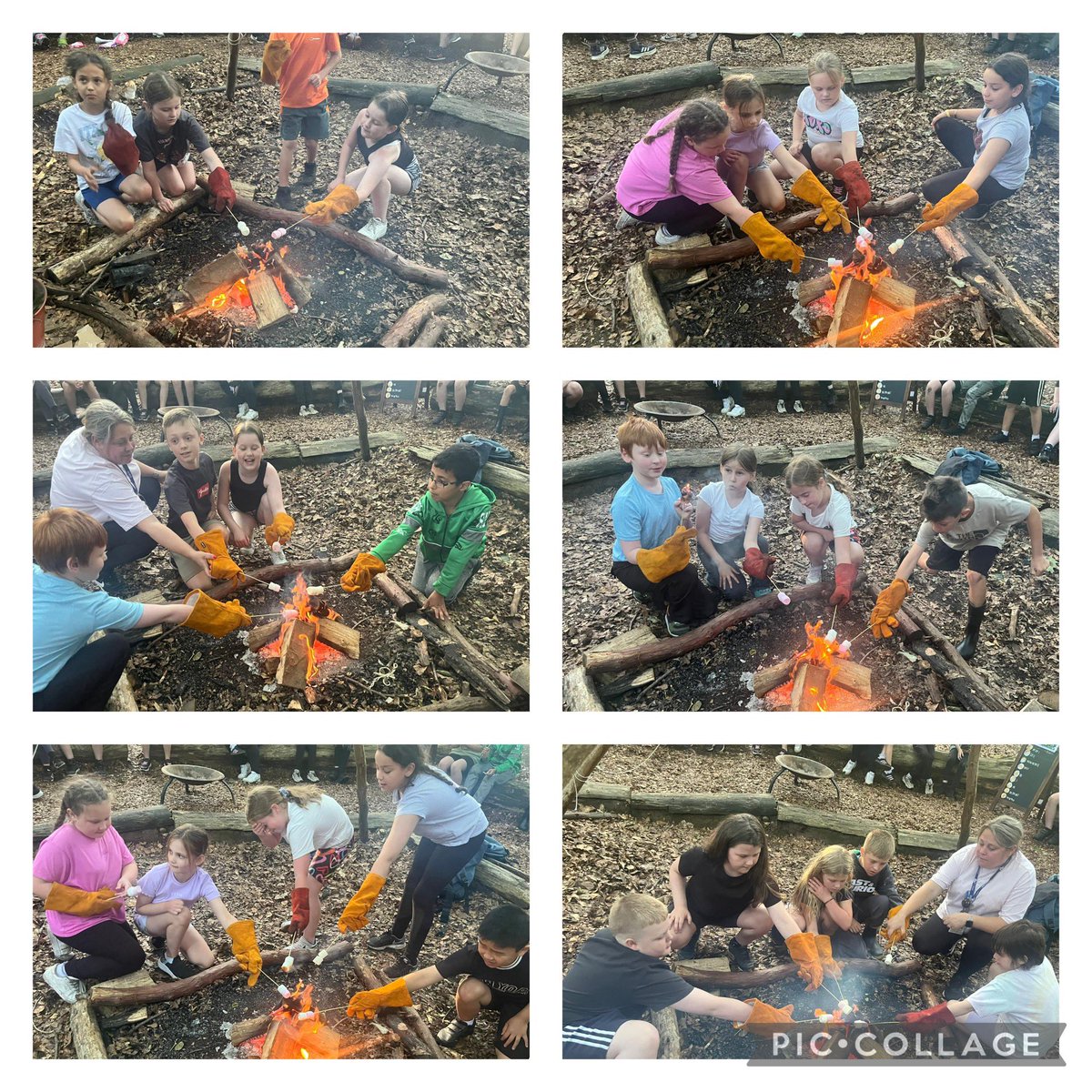 Den building and toasting marshmallows 🔥 <a href="/Y4KingClass/">Y4 King Class</a>