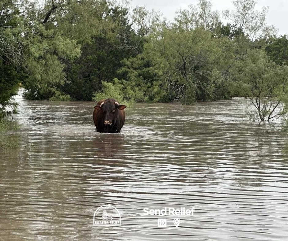 sendrelief's tweet image. On July 4, flash floods hit Texas Hill Country.
80+ lives have been lost. 1,000+ people have been rescued.
With your support, SBC Disaster Relief is on the ground now. Pray with us as we bring help and hope to these hurting families.
Find out more at go.sendrelief.org/stormrelief.