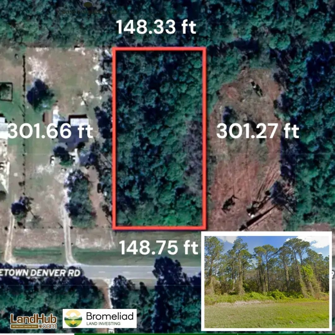 landhub's tweet photo. π΄π‘ Affordable Florida Land | Minutes from Lake George & St. Johns River
π Quiet Country Setting | Zoned R-2 | Seller Financing Available
PRICE HERE π https://t.co/8dwXwTR0eE
#residential #developmentland #landforsale #Floridaland #sellerfinancing https://t.co/1obs75d2sk