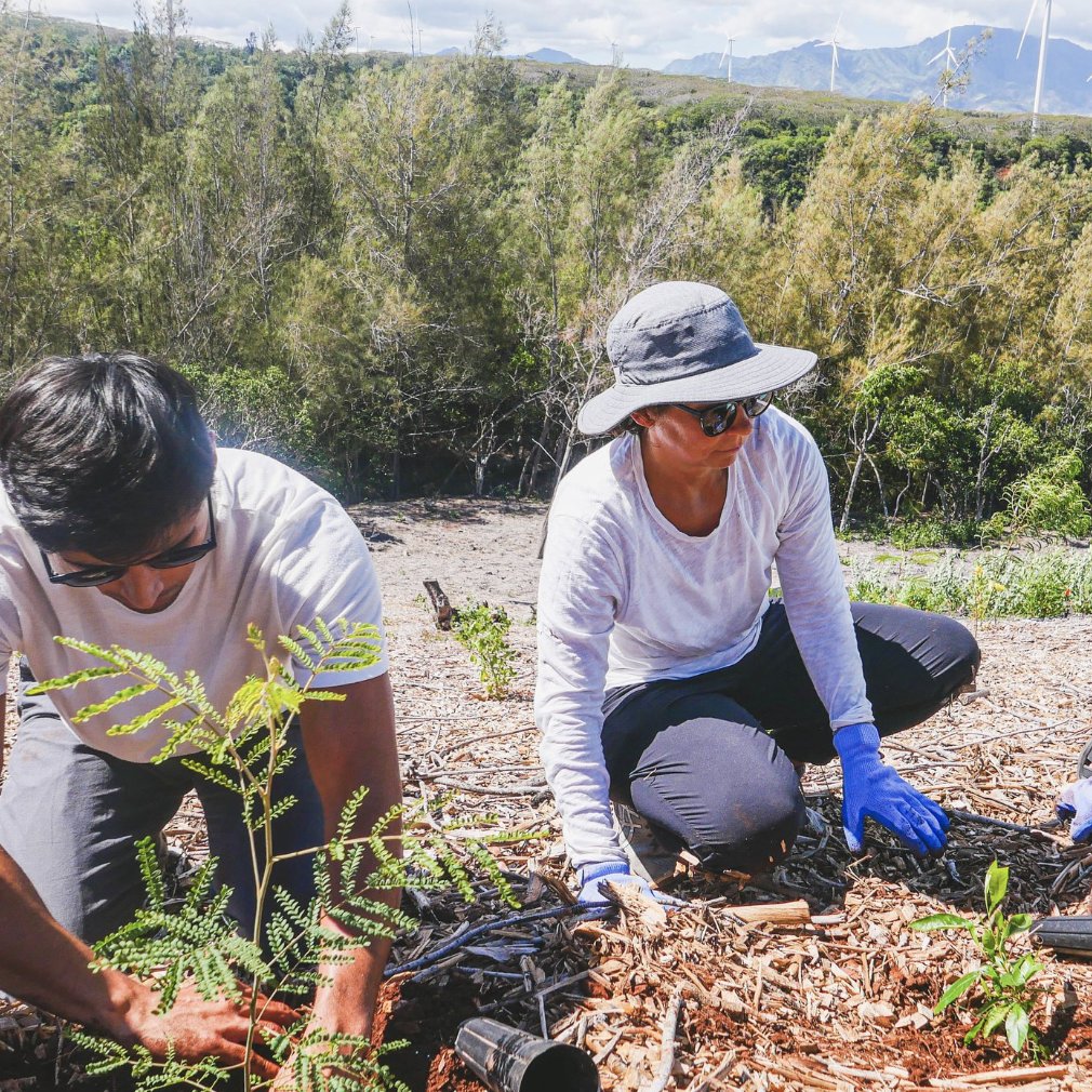 July 2025 Newsletter from Paepae o Heʻeia - mailchi.mp/paepaeoheeia/a…