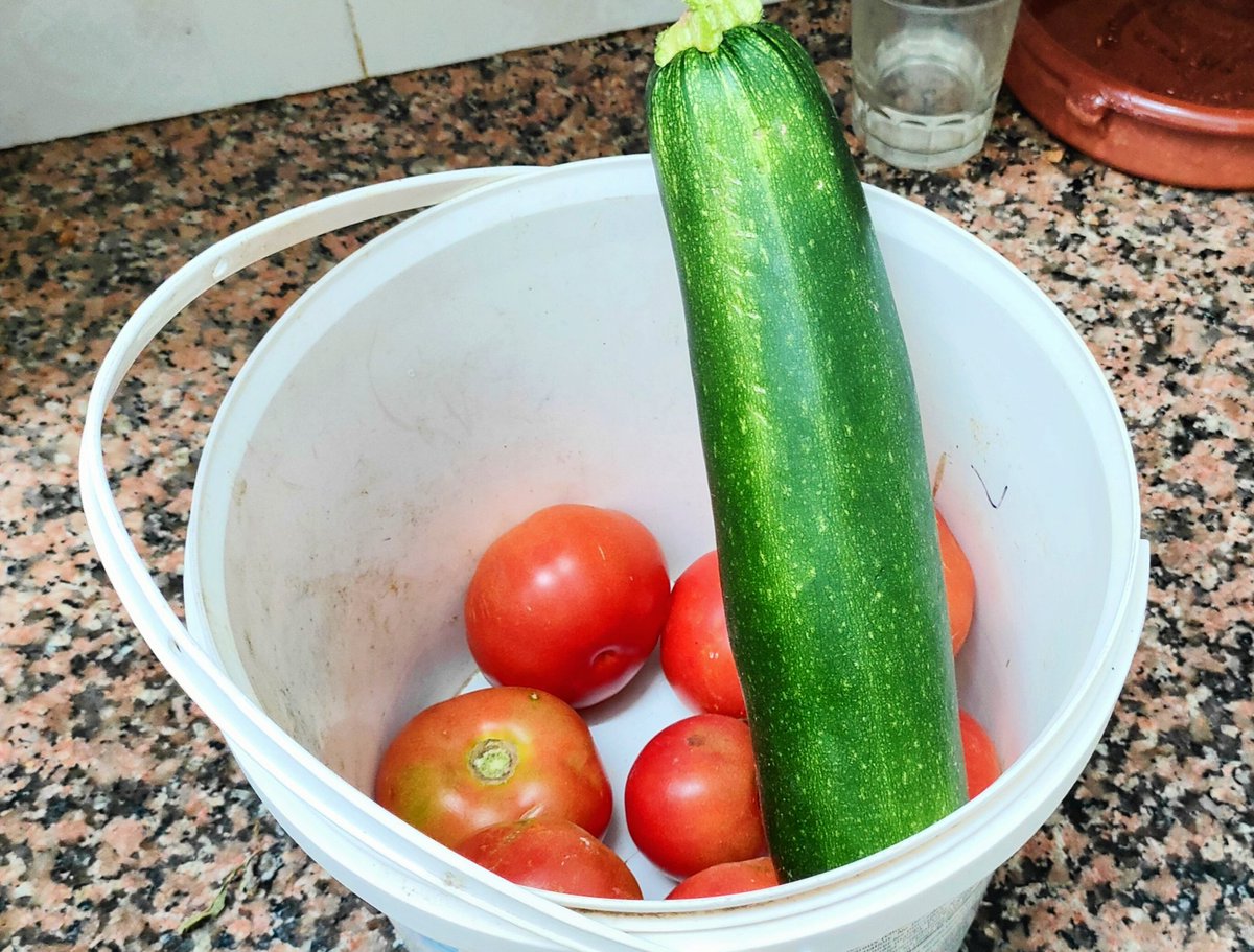 xaviersole's tweet image. De l'#hort al #marbre de la #cuina
🍅🥒👩🏻‍🌾
#tomata #carabassó #rural #pagesos