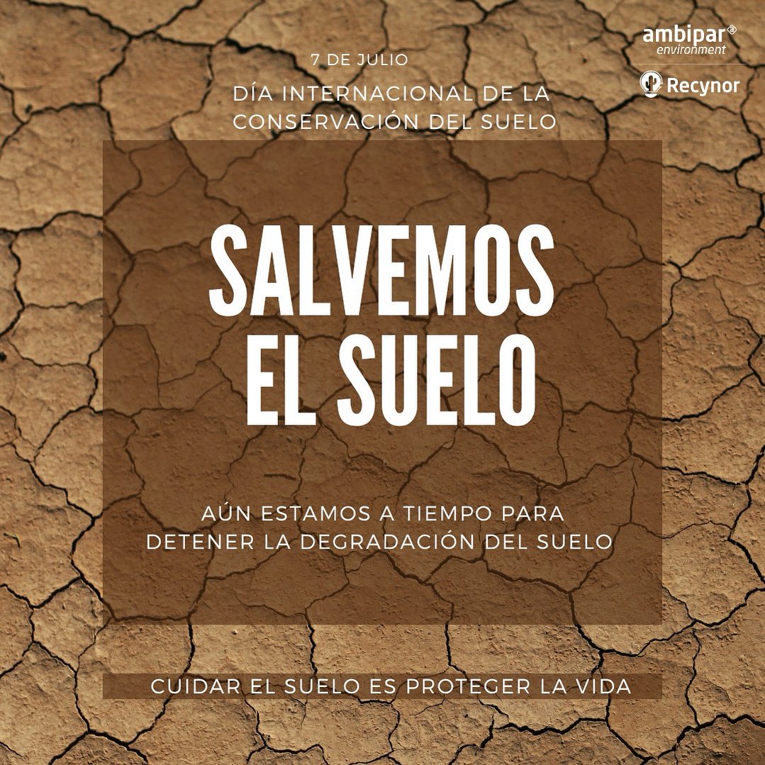 Hoy recordamos que el suelo es la base de nuestra vida. De él nacen nuestros alimentos, se filtran las aguas y se sostiene la biodiversidad. Sin suelo sano, no hay futuro posible.
¡Cuidemos juntos este recurso fundamental para la vida! #Iquique #Arica #DíaConservaciónSuelos